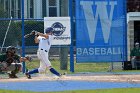 Baseball vs Babson  Wheaton College Baseball vs Babson during Championship game of the NEWMAC Championship hosted by Wheaton. - (Photo by Keith Nordstrom) : Wheaton, baseball, NEWMAC